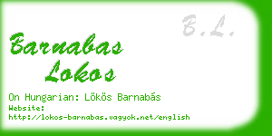 barnabas lokos business card